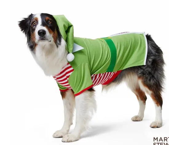 Spring and Autumn Green Series Clothes Large and Medium Sized Dog Warm Outerwear